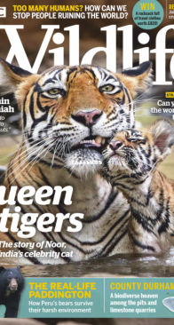 BBC Wildlife 2019 06 - English