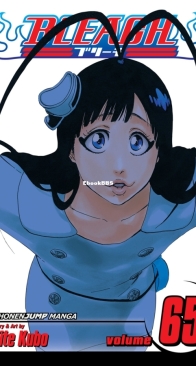 Bleach Colored 65 (of 74) - Viz 2015 - Tite Kubo - English