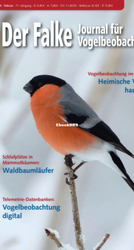 Der Falke – 02.2024 - German