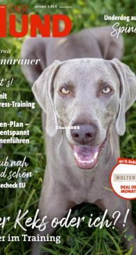 Der Hund - 10.2022 - German