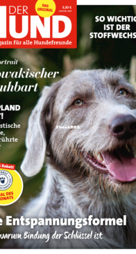 Der Hund - 02.2021 - German