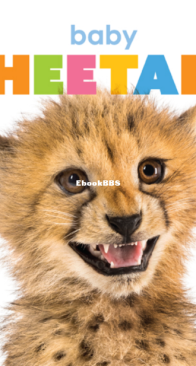 Baby Cheetahs - Starting Out - Kate Riggs - English