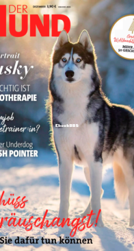 Der Hund - 12.2022 - German
