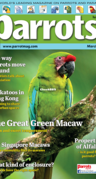 Parrots - Issue 314 - 03.2024 - English