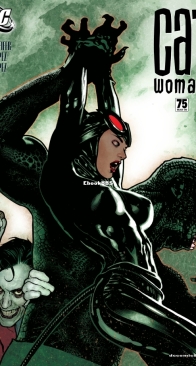 Catwoman Vol 3. 75 (of 83) - DC Comics 2008 - English