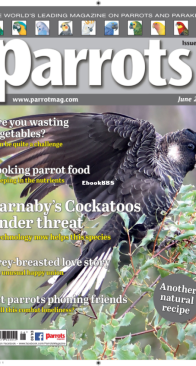 Parrots - Issue 305 - 06.2023 - English