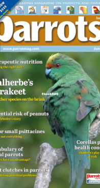 Parrots - Issue 329 - 06.2025 - English