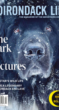 Adirondack Life 03-04.2024 - English