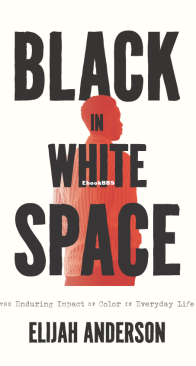 Black in White Space - Elijah Anderson - English