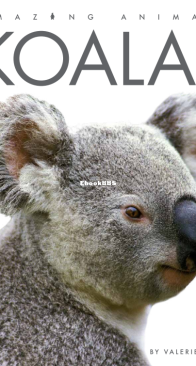 Koalas  - Amazing Animals - Kate Riggs - English