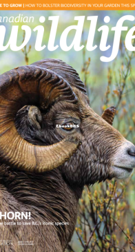 Canadian Wildlife 03-04. 2023 - English