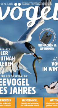 Vögel - Issue 72 – 2.2023 - German