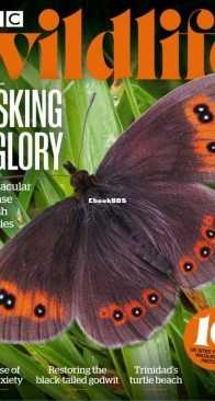 BBC Wildlife 2023 06 - English