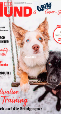 Der Hund - 11.2022 - German