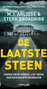 De Laatste Steen - M.J. Arlidge and Steph Broadribb - Dutch