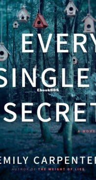Every Single Secret - Emily Carpenter - English