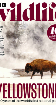 BBC Wildlife 2022 12 - English
