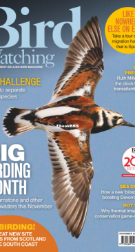 Bird Watching UK 11.2024 - English