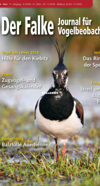 Der Falke – 03.2024 - German