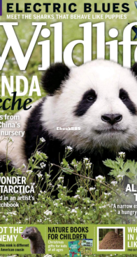BBC Wildlife 2017 13 - English