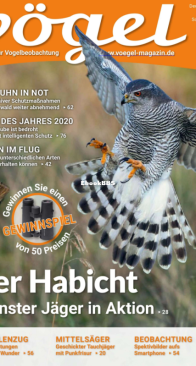 Vögel - Issue 56 – 1.2020 - German