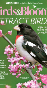 Birds and Blooms - 04-05.2020 - English