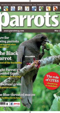 Parrots - Issue 304 - 05.2023 - English