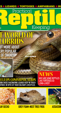 Practical Reptile Keeping 08.2022 - English