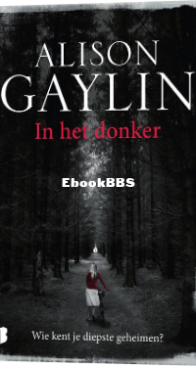 In Het Donker - Brenda Spector 02 - Alison Gaylin - Dutch