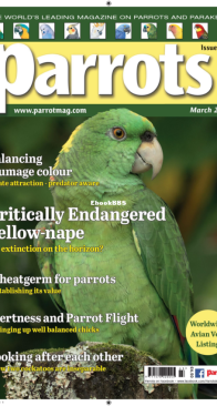 Parrots - Issue 302 - 03.2023 - English