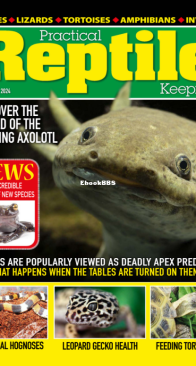 Practical Reptile Keeping 02.2024 - English