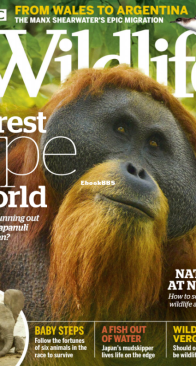 BBC Wildlife 2019 10 - English