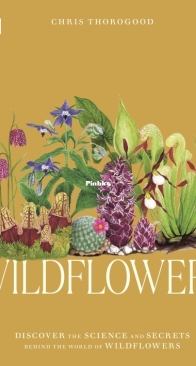 Wildflowers - Discover the Science and Secrets Behind the World of Wildflowers - DK - Chris Thorogood - English