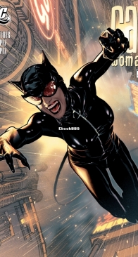 Catwoman Vol 3. 73 (of 83) - DC Comics 2008 - English