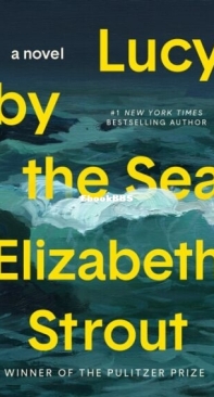 Lucy by the Sea - Amgash 4 - Elizabeth Strout - English