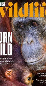 BBC Wildlife 2025 08 - English