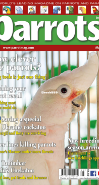 Parrots - Issue 292 - 05.2022 - English