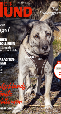 Der Hund - 05.2022 - German