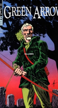 Green Arrow Vol.2 45 (of 137) - DC Comics 1991 - English