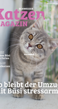Katzen 3 - 05-06-2023 - German