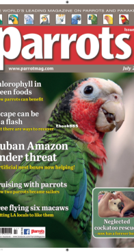 Parrots - Issue 306 - 07.2023 - English