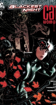 Catwoman Vol 3. 83 (of 83) - DC Comics 2010 - English