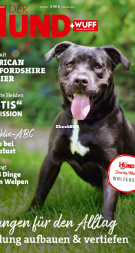 Der Hund - 10.2024 - German