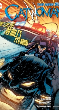 Catwoman Vol.4. 17 of (52) - DC Comics 2013 - English