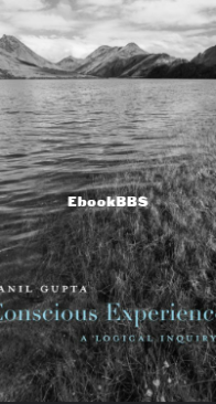 Conscious Experience - Anil Gupta - English