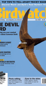 Birdwatch UK - Issue 360 - 06.2022 - English