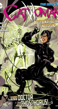 Catwoman Vol.4. 22 of (52) - DC Comics 2013 - English