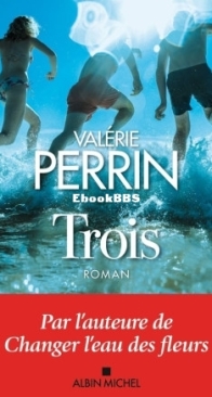 Trois - Valérie Perrin - French