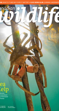 Canadian Wildlife 05-06. 2024 - English