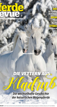 Pferderevue 02.2020 - German